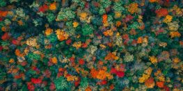 martin-sanchez-MUtNG8GurSQ-unsplash (1)